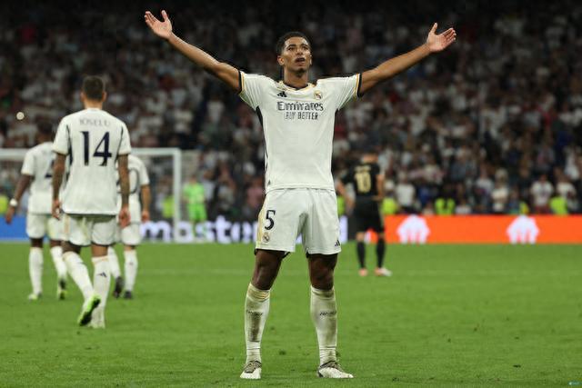 卡塔尔组织体系成熟（卡塔尔组织架构完善）